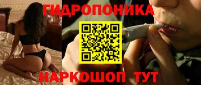 гидра Краснознаменск